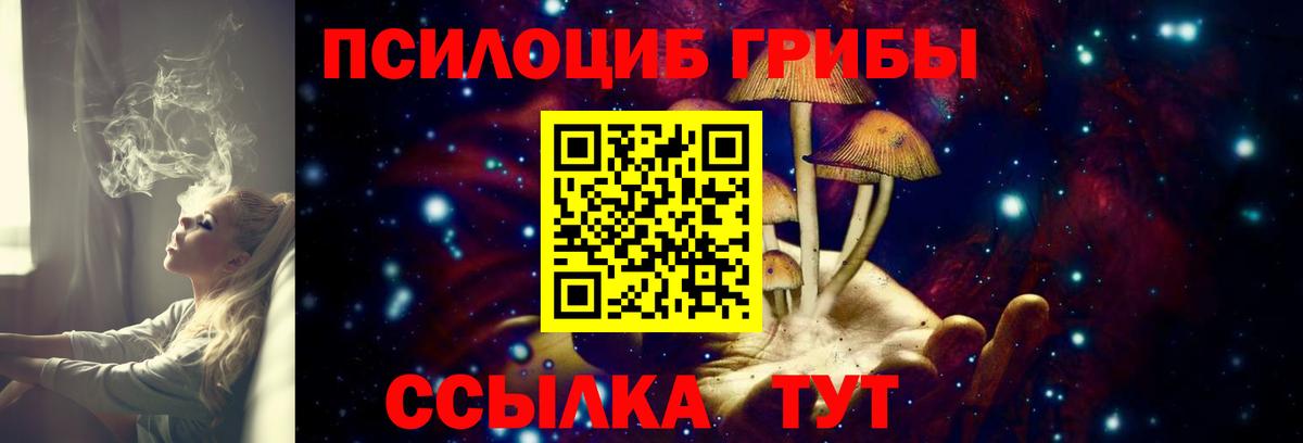 наркошоп  Псилоцибиновые грибы мухоморы  Вход с VPN  Каменск-Шахтинский 